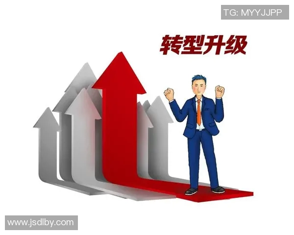 武汉羽毛球队的转型之路与未来发展趋势深度解析